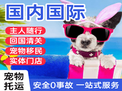 扎兰屯航空物流国际宠物托运 【国